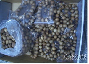 探索工艺美术品批发与零售 艺术与商业的交汇点